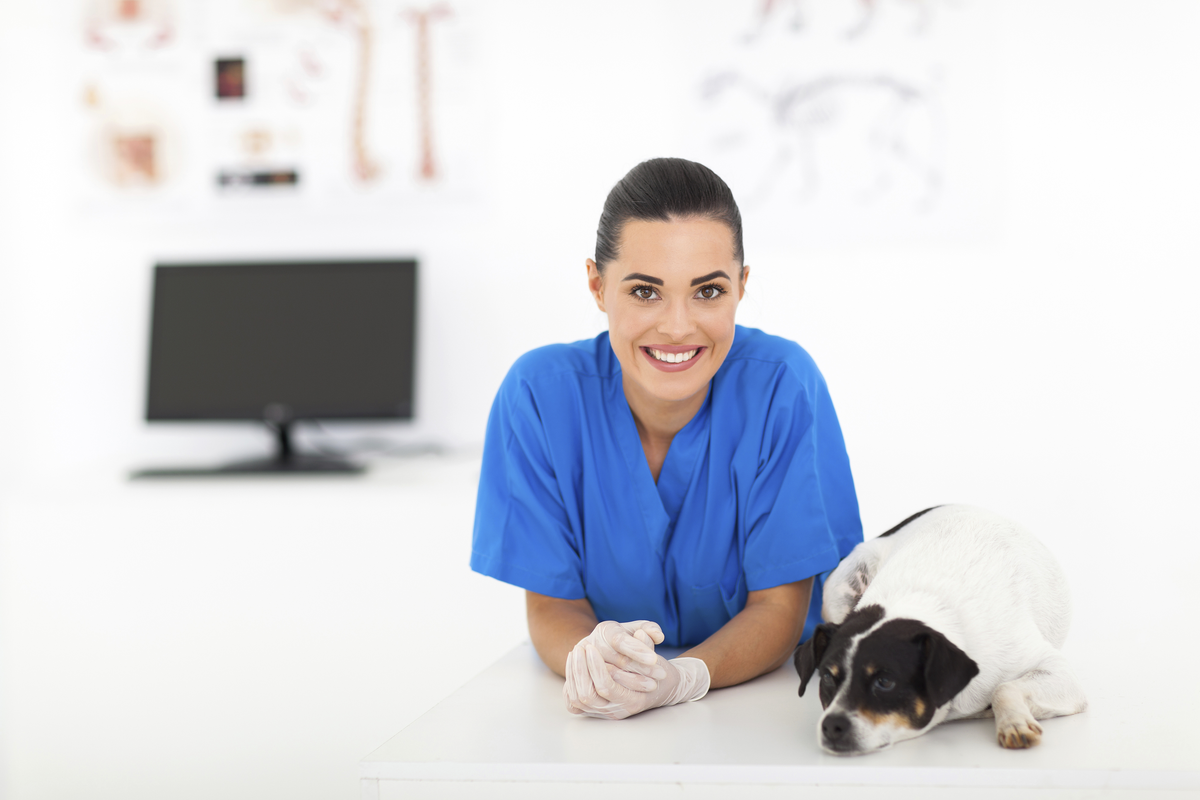 Now Offering Veterinary Office Assistant