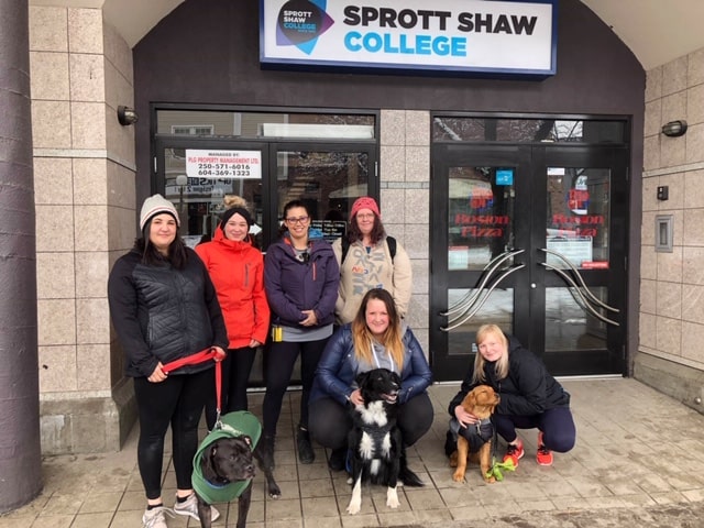 sprott shaw college kamloops campus community support worker students with dogs for selfcare