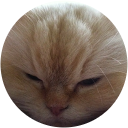 Crystal lu profile picture