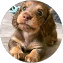 Tracey Burge profile picture