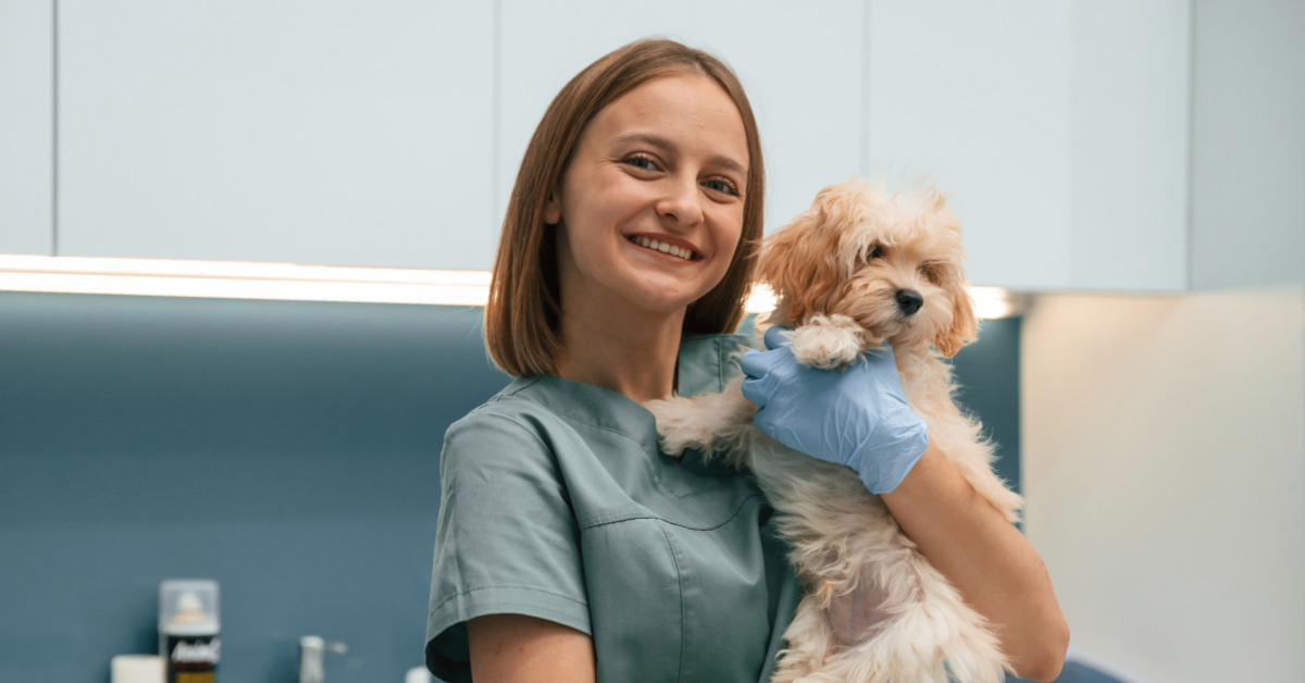 How to Become a Veterinary Assistant in BC