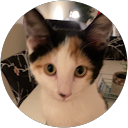 Sarah Booker profile picture